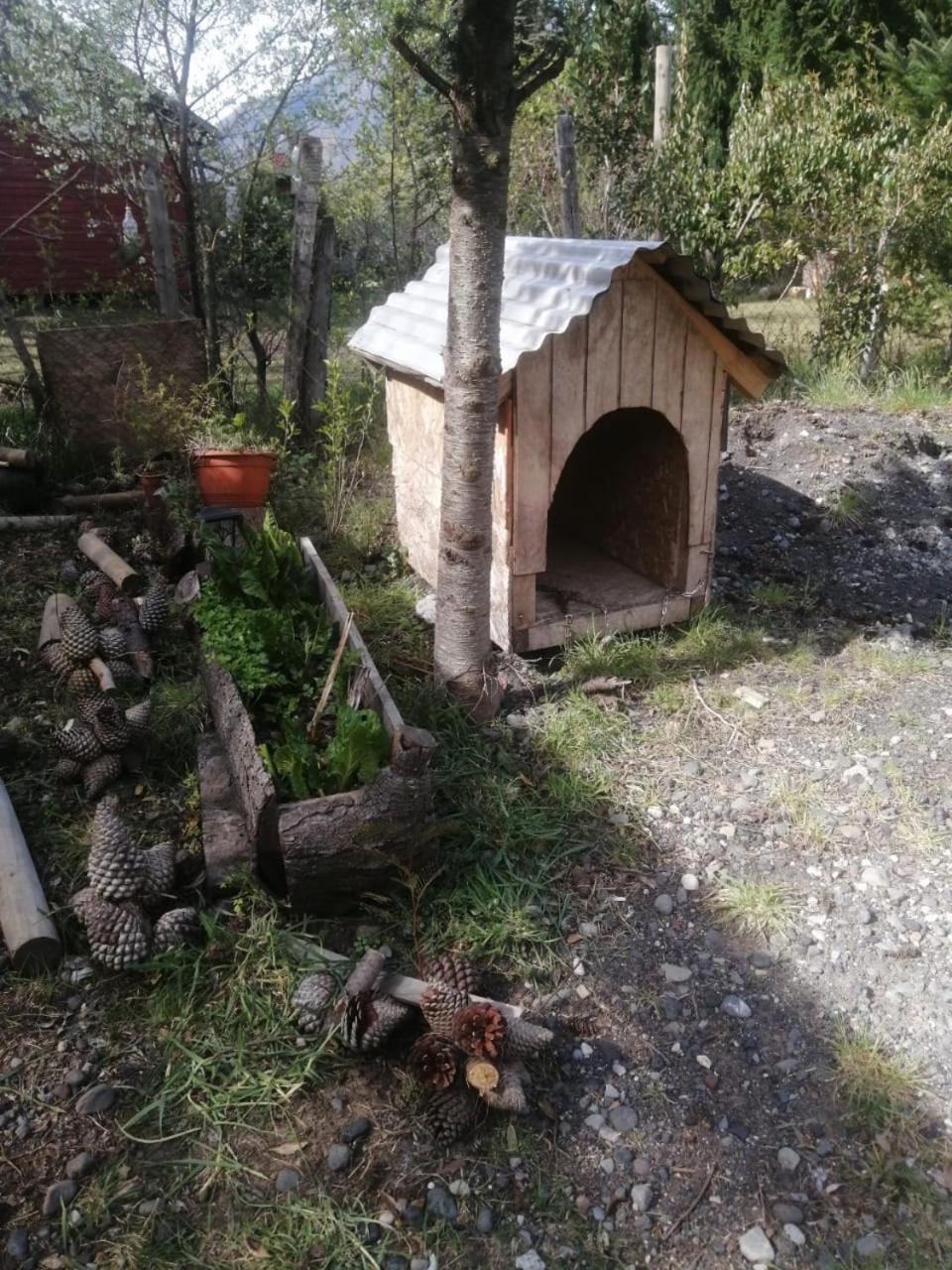 Cabana May Pao, Para 3 En Melipeuco Cerca Del Parque Nacional Conguillio Exteriör bild