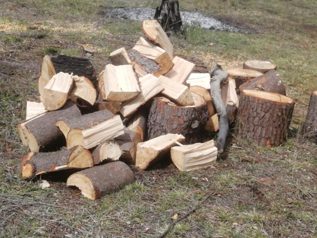 Cabana May Pao, Para 3 En Melipeuco Cerca Del Parque Nacional Conguillio Exteriör bild