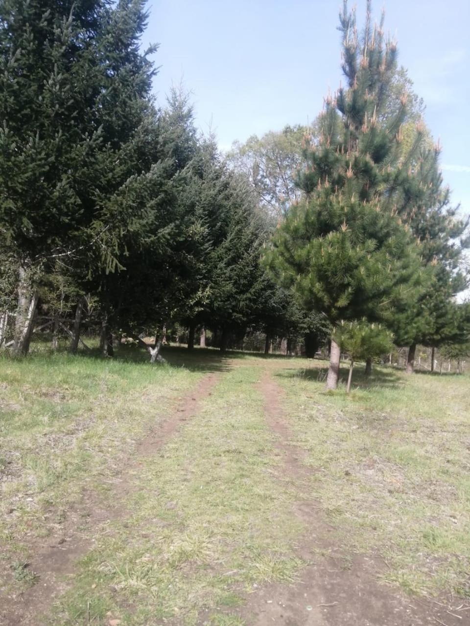 Cabana May Pao, Para 3 En Melipeuco Cerca Del Parque Nacional Conguillio Exteriör bild
