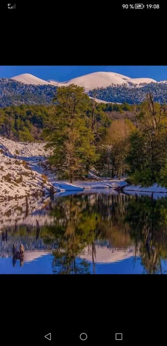 Cabana May Pao, Para 3 En Melipeuco Cerca Del Parque Nacional Conguillio Exteriör bild