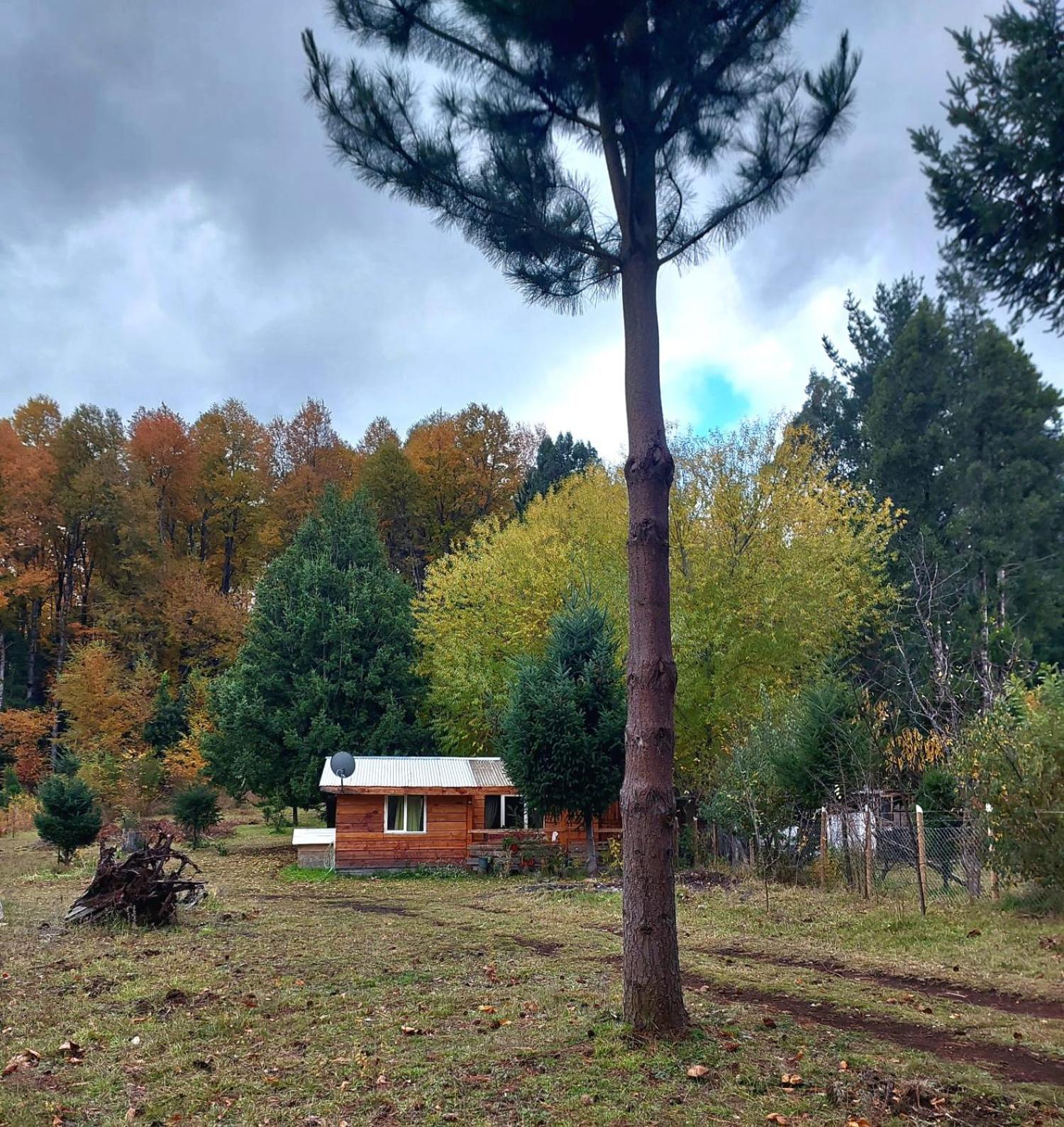 Cabana May Pao, Para 3 En Melipeuco Cerca Del Parque Nacional Conguillio Exteriör bild
