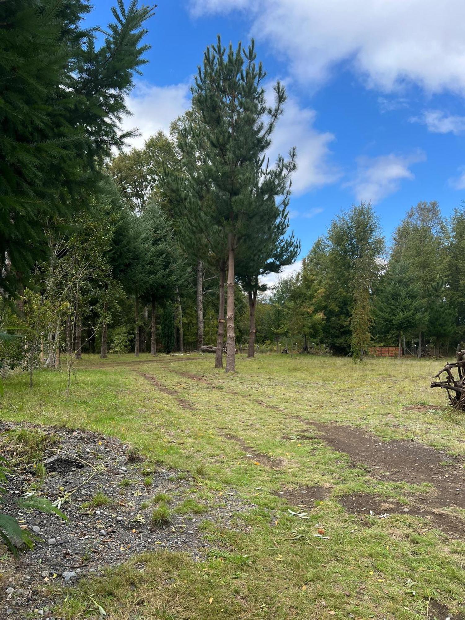 Cabana May Pao, Para 3 En Melipeuco Cerca Del Parque Nacional Conguillio Exteriör bild